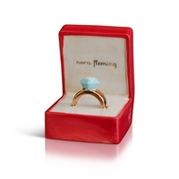 put a ring on it nora fleming mini