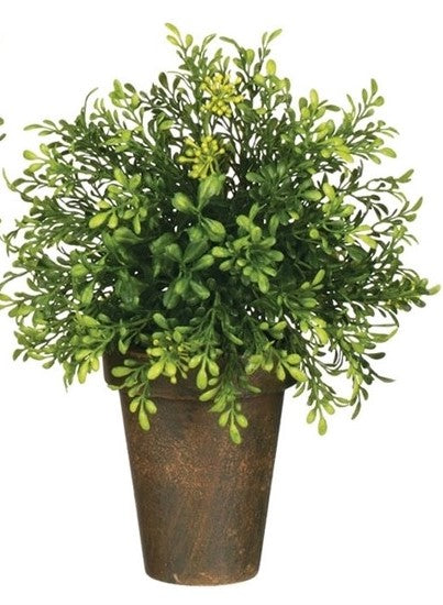 Tea Leaf Berry Potted Orb SM