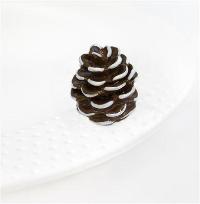 Pretty Pinecone Mini