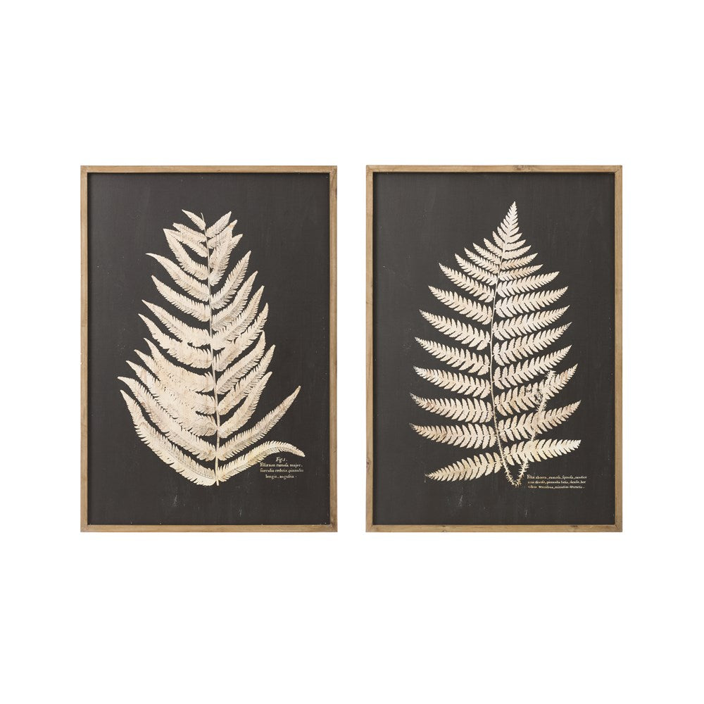 Wood Framed Fern Leaf