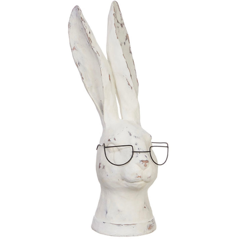 Rabbit with Glasses