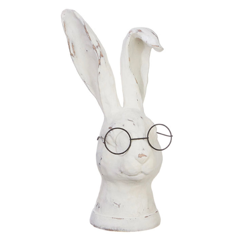 Rabbit with Glasses