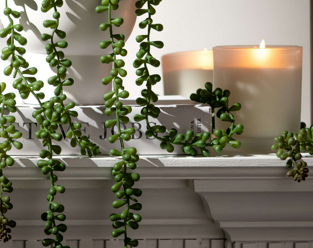 Hanging Succulent Spray
