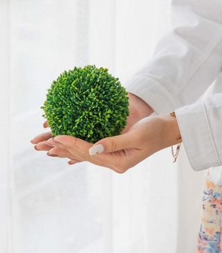 Small Boxwood Orb