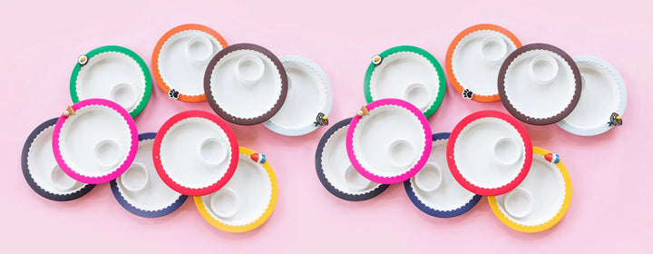 Nora Fleming Band Together - Melamine Chip & Dip Bowl Band