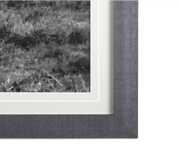 Gray Barn Print