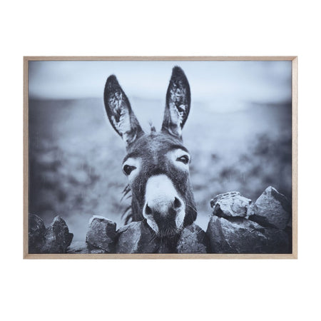Framed Canvas Donkey
