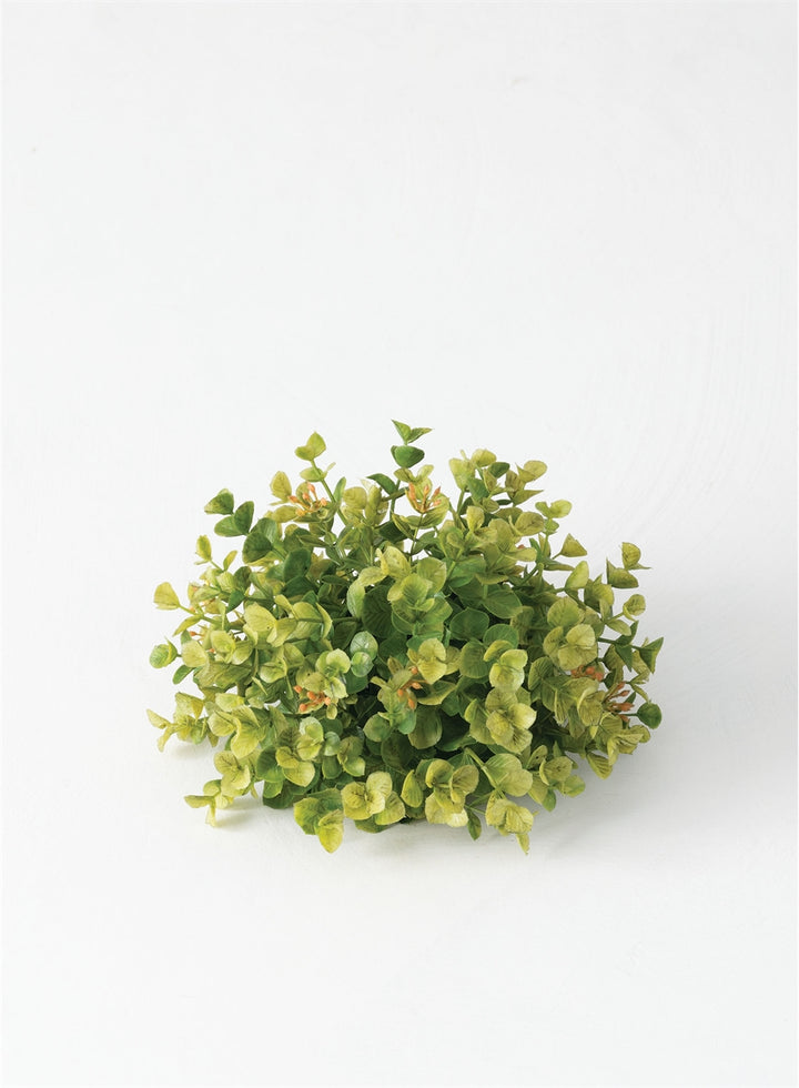 New England Boxwood Topper